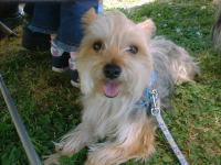 �r�[�l�̎ʐ^