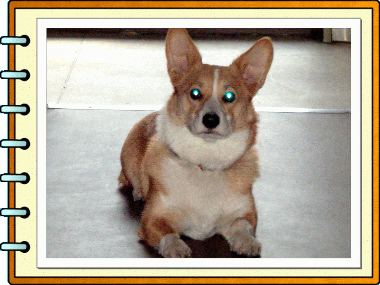 �t���[��