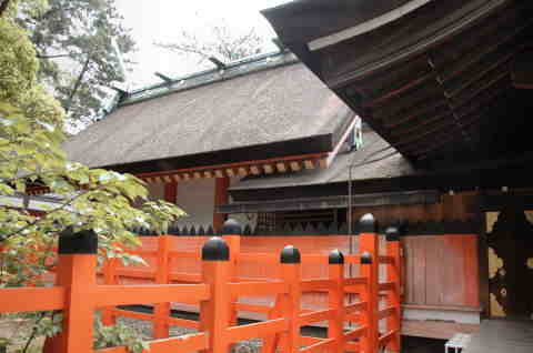 住吉大社本殿