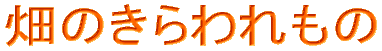 悤@W̓o[hEt@[