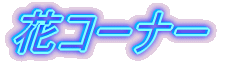 ؃R[i[