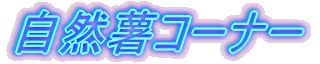 ؃R[i[