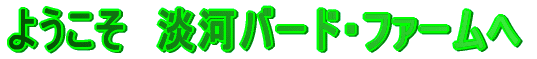 悤@W̓o[hEt@[