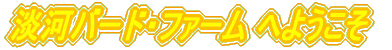 W̓o[hEt@[ ւ悤