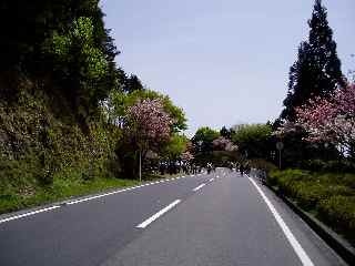 ドライブウエイ