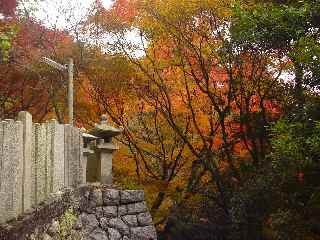 明王堂周辺の紅葉