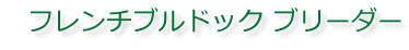 フレンチブルドック ブリーダー