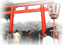 平野神社の桜花祭