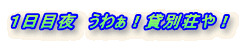 Pږ@킟IݕʑI