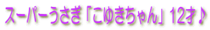 �X�[�p�[�������u���䂫�����v12�ˁ� 