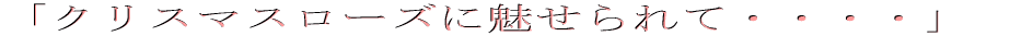 �u�N���X�}�X���[�Y�ɖ������āE�E�E�E�v 