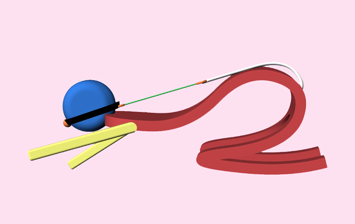 Anal Hook picture