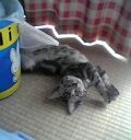 今日は良い天気だなー