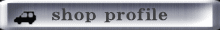 company profile 