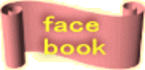 face book 