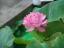Dscf0015�@�i���P�R�j