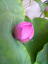 Dscf0011�@�i���P�O�j