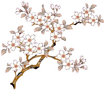合格桜(着物辞典、着物用語、きもの、和裁、染、)