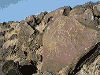 Petroglyph 2