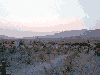 Mesquite Flat Dunes 1