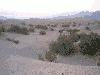 Mesquite Flat Dunes 3