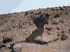 Mushroom Rock