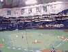 Twin Dome 2