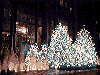 Christmas Illumination 1