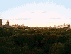 Central Park