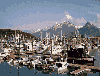 Valdez