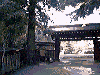 Hakone Garden 1