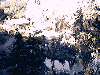 Hakone Garden 2