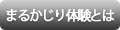 まるかじり体験とは