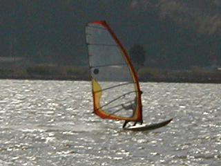 �W�b�v�E�C���h����