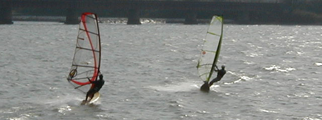 �T��Ŋ��v������