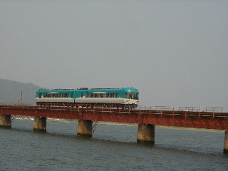 �^���S�f�B�X�J�o���[