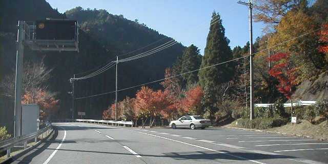 �g�t����