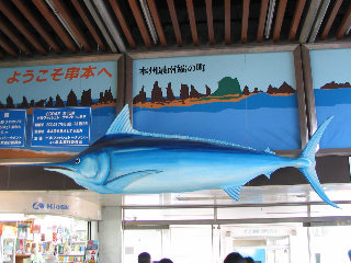 ���{�w�\��