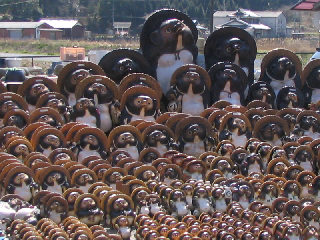 ���ʂ��ł���I