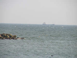 �����͔��g���o�Ă�