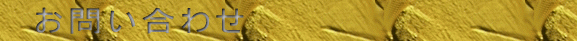 ₢킹@@@@@@@@@@@@@@ 