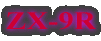 ZX-9R