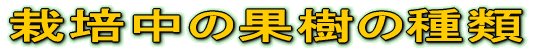 ͔|Ăʎ̎ 