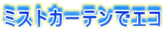 �~�X�g�J�[�e���ŃG�R