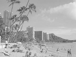�`�k�n�g�`�`��悤�����I�Dcom�@hawaii�ցI�I