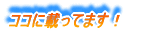 ココに載ってます!
