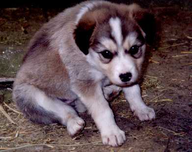 �K�����΂���