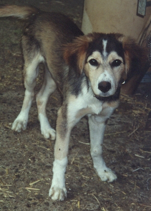 ���������l