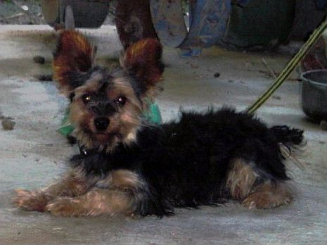 ���[�N�V��