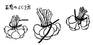 �ʔK�̂�������}��